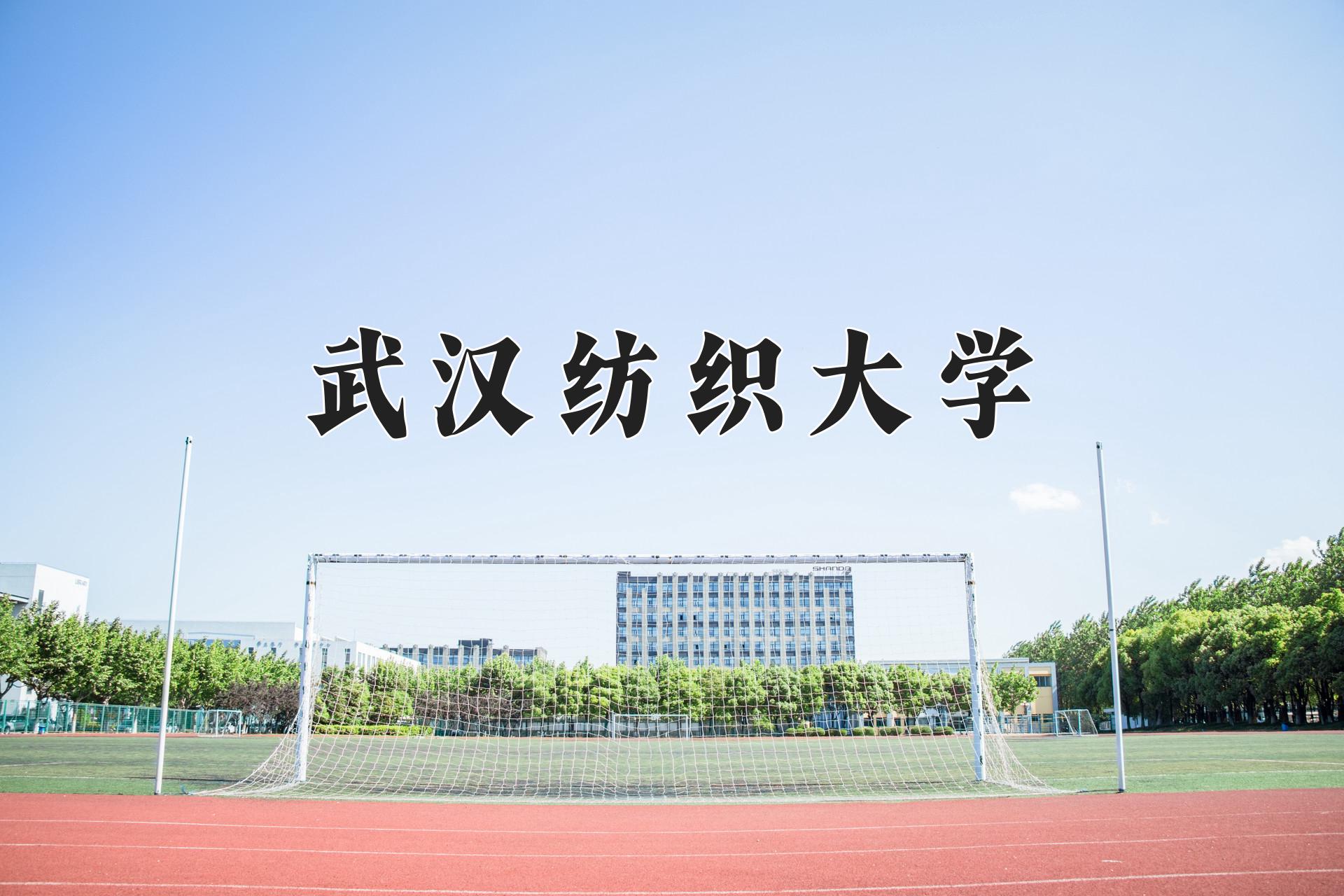 武汉纺织大学