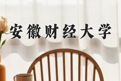 2024年安徽财经大学在重庆计划招生人数（附学费及专业录取分)
