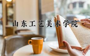 2024年山东工艺美术学院在河北计划招生人数（附学费及专业录取分)