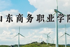 2024年山东商务职业学院在河北计划招生人数（附学费及专业录取分)