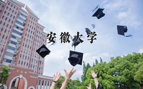 2024年安徽大学在重庆计划招生人数（附学费及专业录取分)