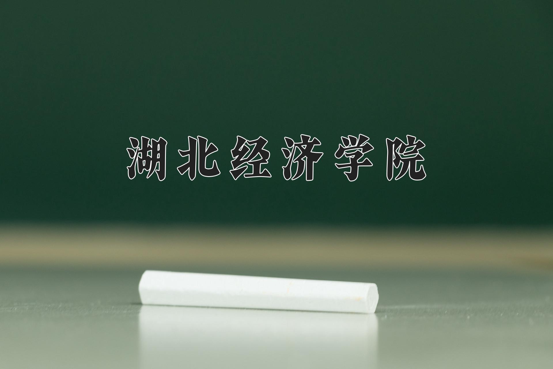 湖北经济学院