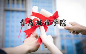 2024年青岛城市学院在重庆计划招生人数（附学费及专业录取分)