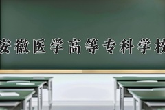 2024年安徽医学高等专科学校在河北计划招生人数（附学费及专业录取分)