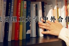 2024年陕西理工大学(中外合作)在重庆计划招生人数（附学费及专业录取分)