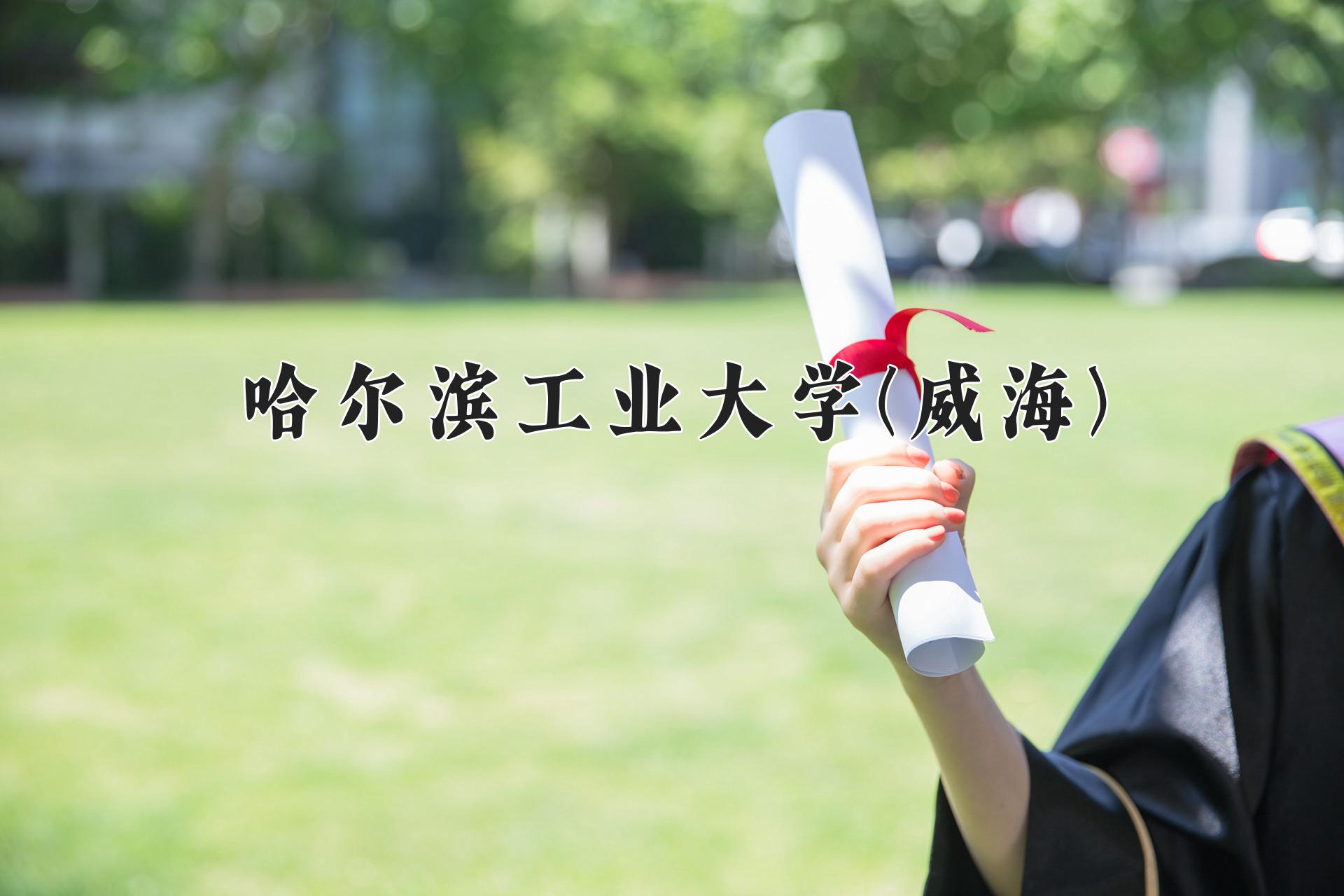 哈尔滨工业大学(威海)