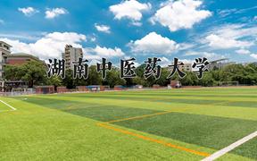 2024年湖南中医药大学在重庆计划招生人数（附学费及专业录取分)