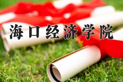 2024年海口经济学院在重庆计划招生人数（附学费及专业录取分)