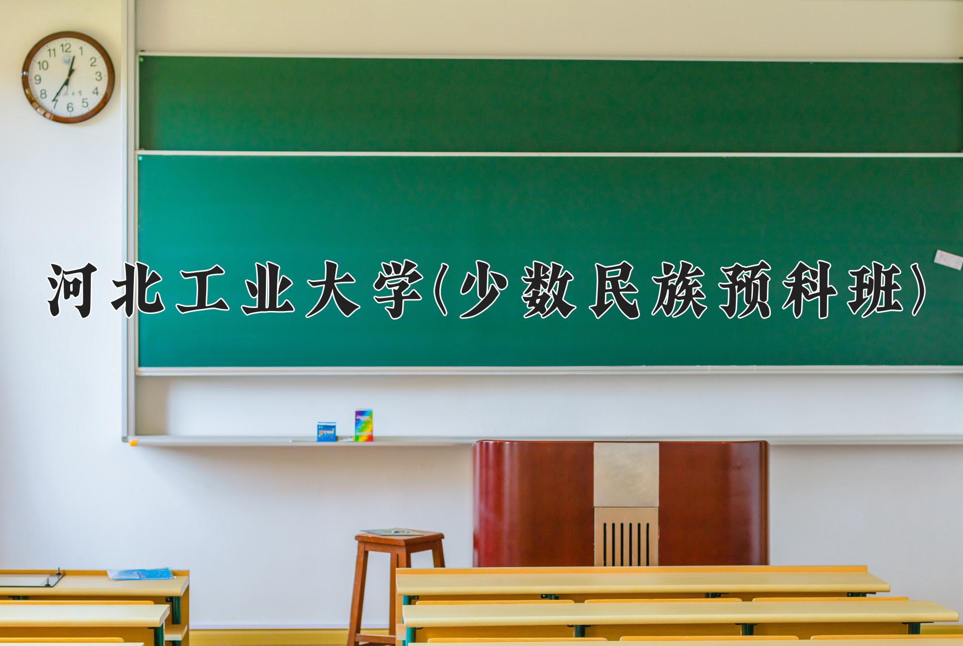 河北工业大学(少数民族预科班)