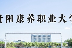 2024年贵阳康养职业大学在重庆计划招生人数（附学费及专业录取分)