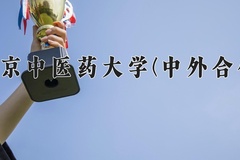 2024年南京中医药大学(中外合作)在重庆计划招生人数（附学费及专业录取分)