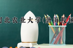 2024年河北农业大学(渤海校区)在河北计划招生人数（附学费及专业录取分)