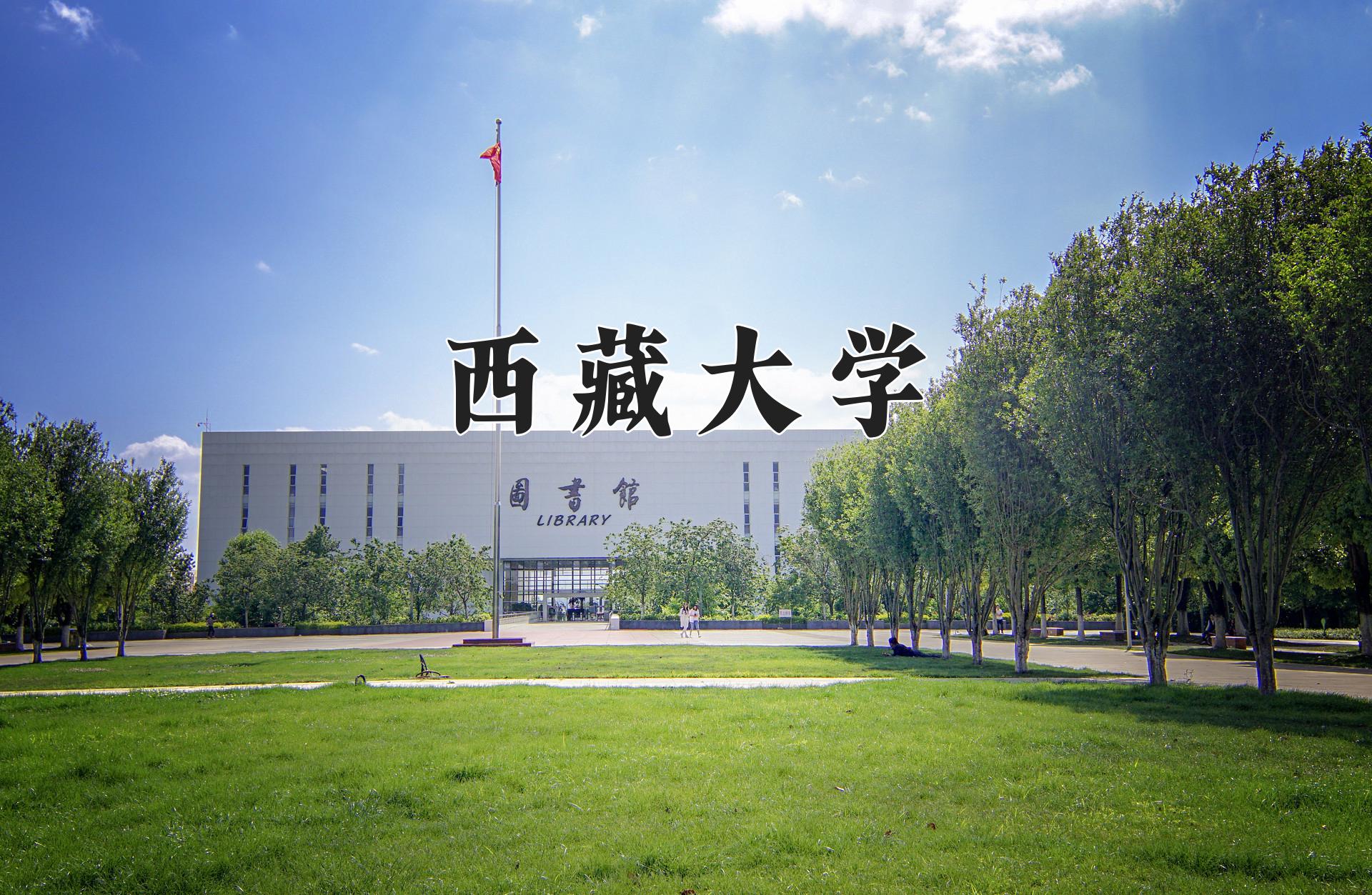 西藏大学