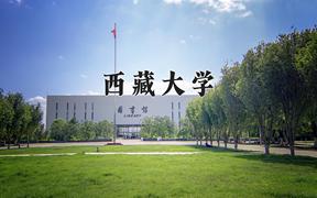 2024年西藏大学在重庆计划招生人数（附学费及专业录取分)