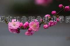 2024年湖南工业职业技术学院在重庆计划招生人数（附学费及专业录取分)