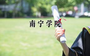 2024年南宁学院在河北计划招生人数（附学费及专业录取分)