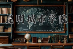 2024年昆明城市学院在河北计划招生人数（附学费及专业录取分)