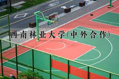 2024年西南林业大学(中外合作)在重庆计划招生人数（附学费及专业录取分)