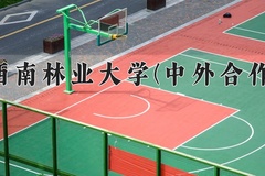 2024年西南林业大学(中外合作)在重庆计划招生人数（附学费及专业录取分)