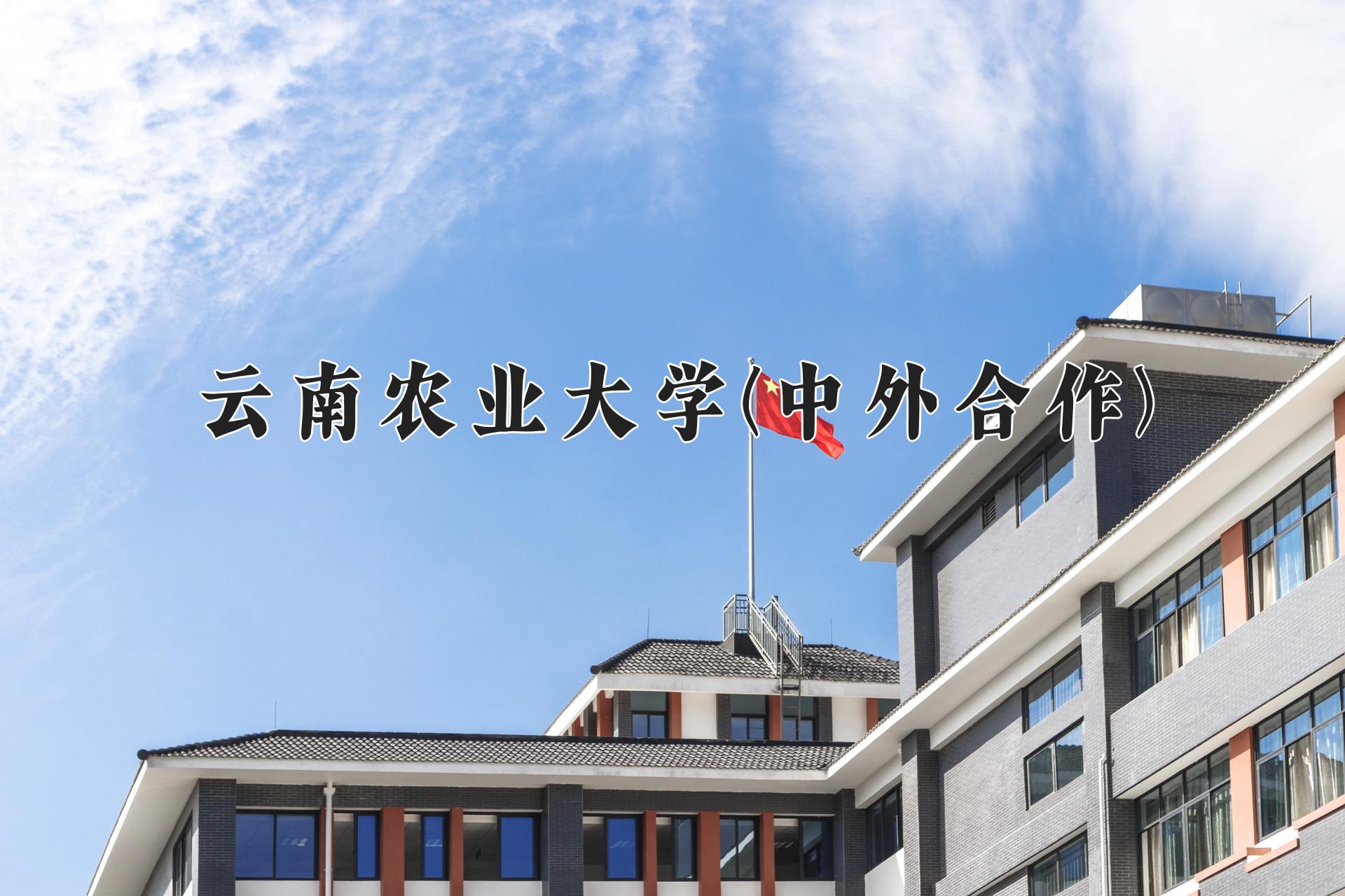 云南农业大学(中外合作)