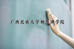 2024年广西民族大学相思湖学院在河北计划招生人数（附学费及专业录取分)