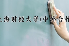 2024年上海财经大学(中外合作)在重庆计划招生人数（附学费及专业录取分)