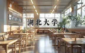 2024年湖北大学在河北计划招生人数（附学费及专业录取分)