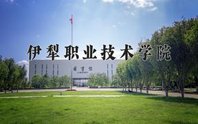 2024年伊犁职业技术学院在重庆计划招生人数（附学费及专业录取分)