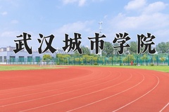 2024年武汉城市学院在重庆计划招生人数（附学费及专业录取分)