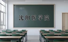 2024年沈阳医学院在重庆计划招生人数（附学费及专业录取分)