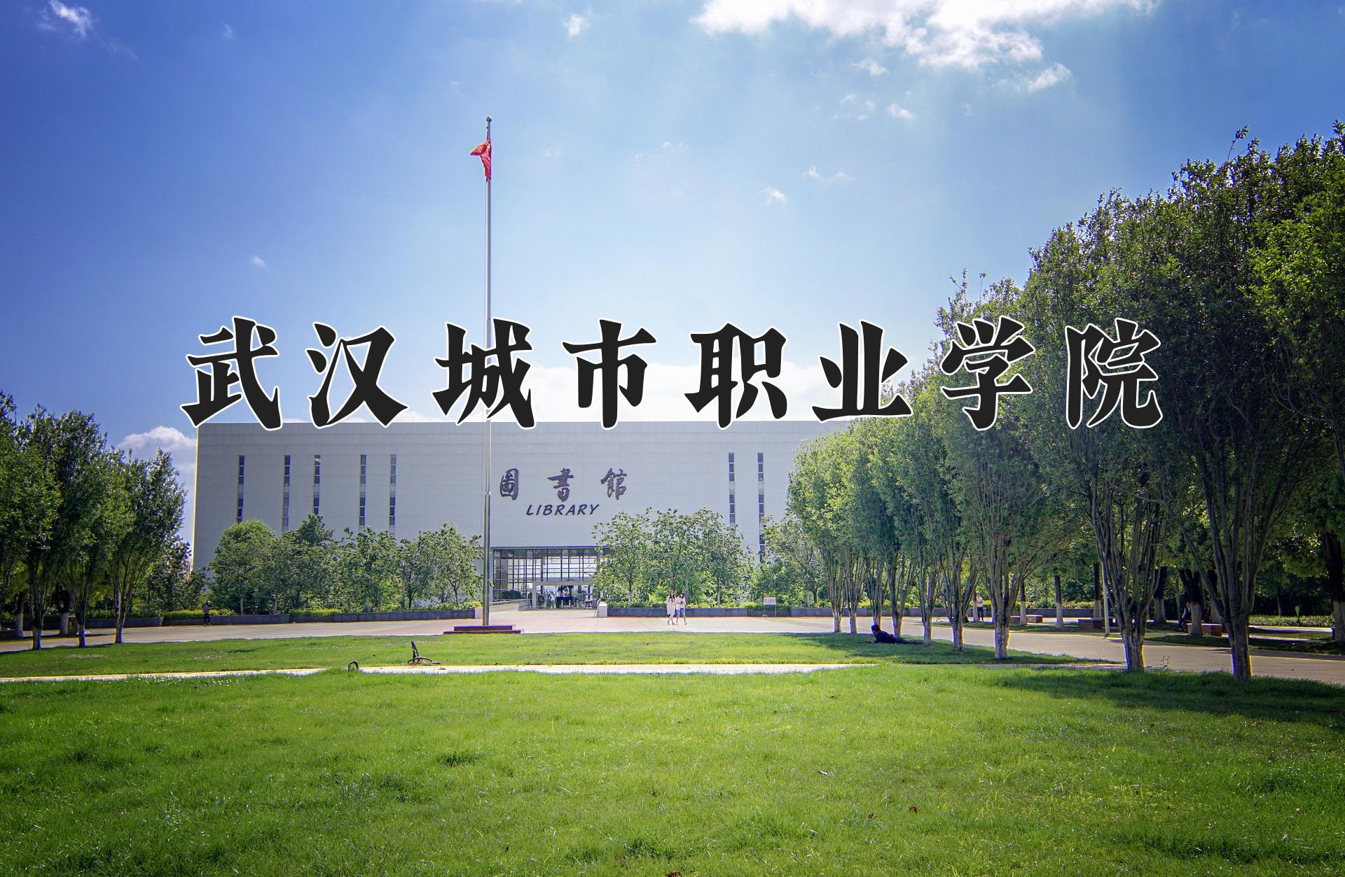 武汉城市职业学院