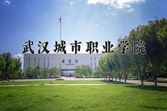 2024年武汉城市职业学院在重庆计划招生人数（附学费及专业录取分)