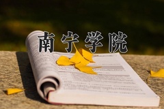 2024年南宁学院在重庆计划招生人数（附学费及专业录取分)