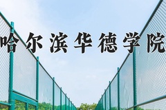 2024年哈尔滨华德学院在河北计划招生人数（附学费及专业录取分)