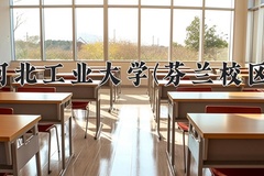 2024年河北工业大学(芬兰校区)在河北计划招生人数（附学费及专业录取分)