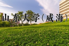 2024年山东大学(威海)在河北计划招生人数（附学费及专业录取分)