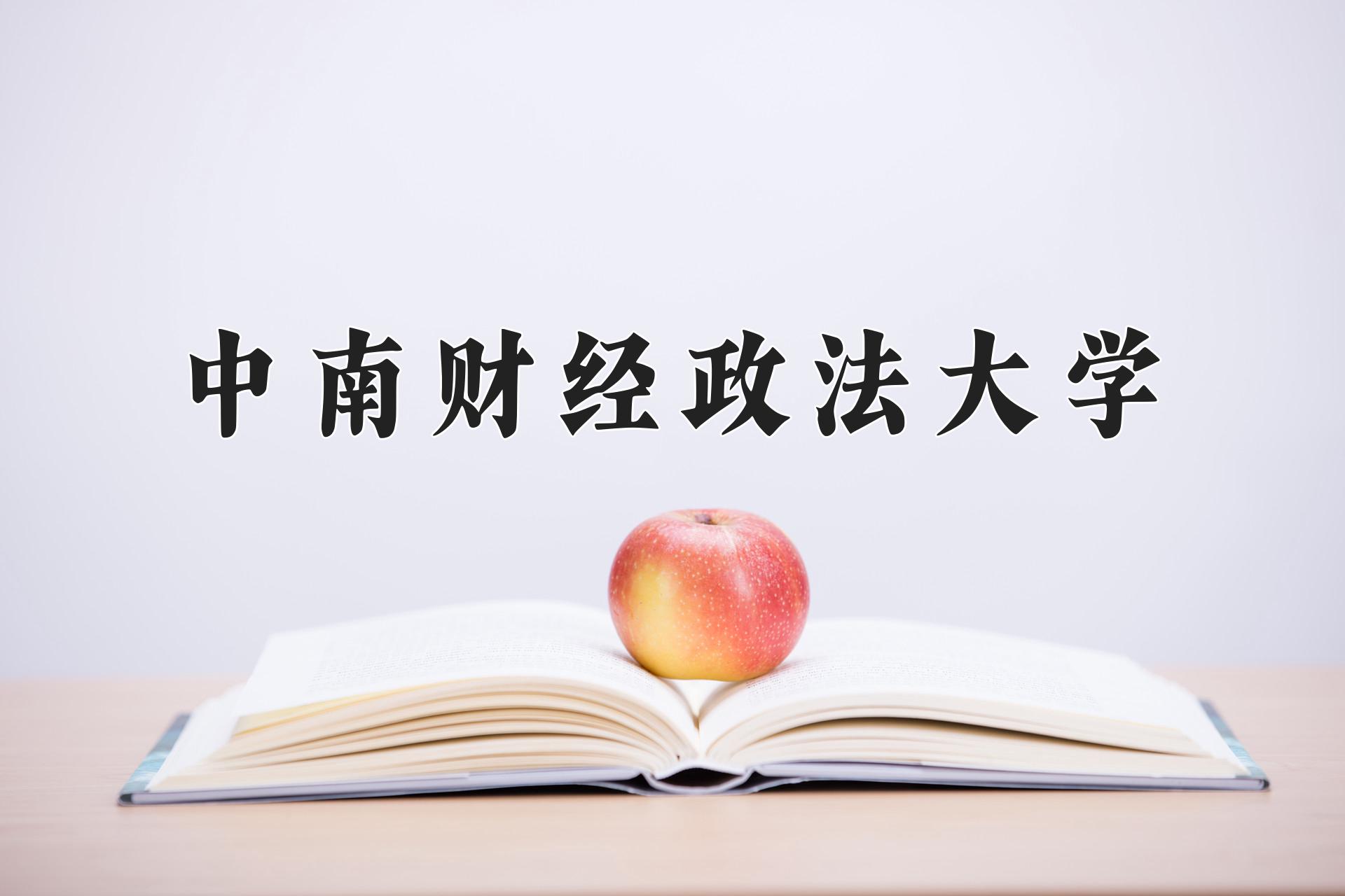 中南财经政法大学