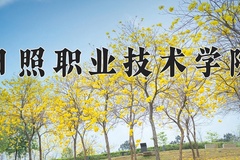 2024年日照职业技术学院在重庆计划招生人数（附学费及专业录取分)