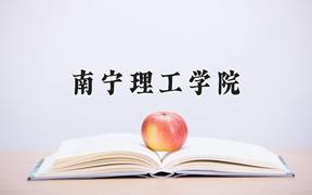 2024年南宁理工学院在河北计划招生人数（附学费及专业录取分)