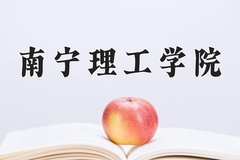 2024年南宁理工学院在河北计划招生人数（附学费及专业录取分)