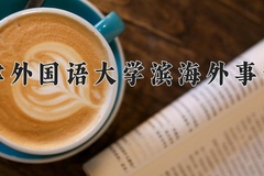 2024年天津外国语大学滨海外事学院在重庆计划招生人数（附学费及专业录取分)