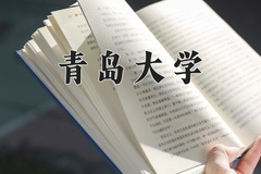 2024年青岛大学在重庆计划招生人数（附学费及专业录取分)