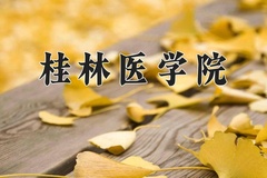 2024年桂林医学院在河北计划招生人数（附学费及专业录取分)