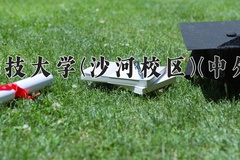 2024年电子科技大学(沙河校区)(中外合作)在重庆计划招生人数（附学费及专业录取分)