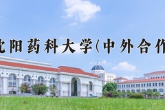 2024年沈阳药科大学(中外合作)在重庆计划招生人数（附学费及专业录取分)