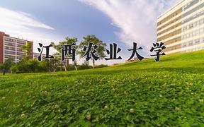 2024年江西农业大学在河北计划招生人数（附学费及专业录取分)