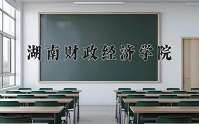 2024年湖南财政经济学院在重庆计划招生人数（附学费及专业录取分)