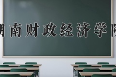2024年湖南财政经济学院在重庆计划招生人数（附学费及专业录取分)