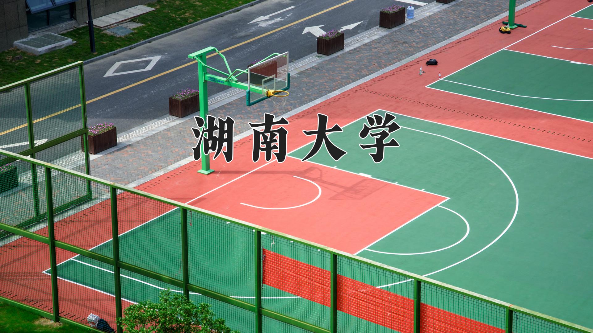 湖南大学