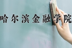 2024年哈尔滨金融学院在河北计划招生人数（附学费及专业录取分)